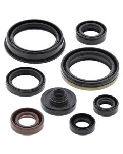 Vertex Oil Seal Kit 822318
