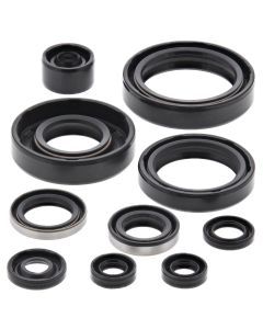 Vertex Oil Seal Kit 822183