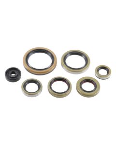 Vertex Oil Seal Kit 822976