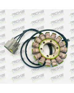 Ricks Stator For BMW S1000XR 2015-2019 21-038
