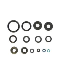 Athena Engine Oil Seal Kit P400250400029