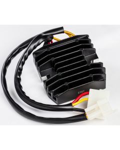 Ricks Hot Shot Series Rectifier-Regulator 10-119H