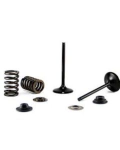 Bronco Exhaust Valve AU-09203E