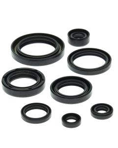 Vertex Oil Seal Kit 822157