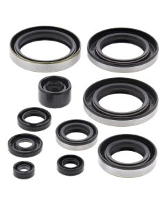 Vertex Oil Seal Kit 822295