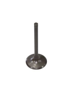 Exhaust Valve, Racing XU-09562E