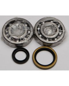All Balls Crankshaft Bearing/Seal Kit For Suzuki RMX250 1995-1998 24-1060