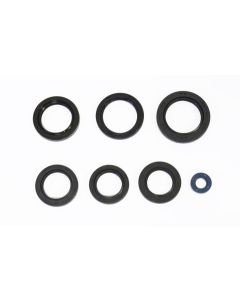 Athena Engine Oil Seal Kit P400250400018