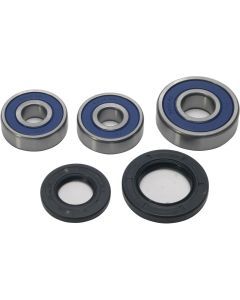 All Balls Rear Wheel Bearing Kit 25-1546