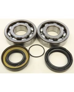 All Balls Crank Bearing And Seal Kit 24-1066