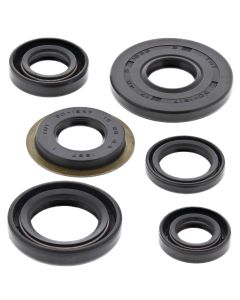 Vertex Oil Seal Kit 822307