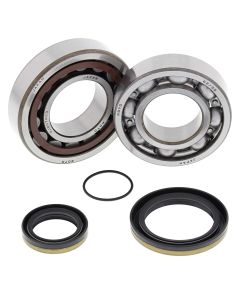 All Balls Racing Crank Shaft Bearing Kit 24-1098