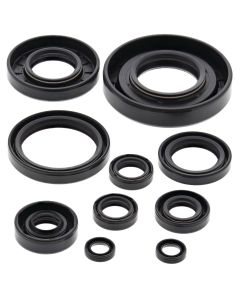 Vertex Oil Seal Kit 822174