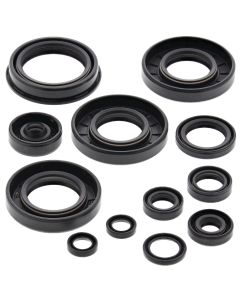 Vertex Oil Seal Kit 822252