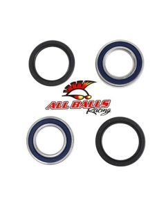 All Balls Racing Inc Rear Wheel Bearing Kit - Both Wheels 25-1127
