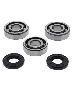 All Balls Racing Crank Shaft Bearing Kit 24-1117