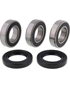 Pivot Works Rear Talon Hub Bearing Kit PWRWK-Z01-000
