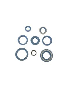 Athena Engine Oil Seal Kit P400090400130