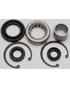 All Balls Inner Primary Bearing and Seal Kit 25-3101