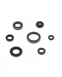 Athena Engine Oil Seal Kit P400510400253