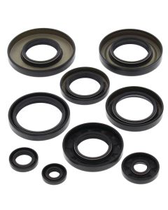 Vertex Oil Seal Kit 822247