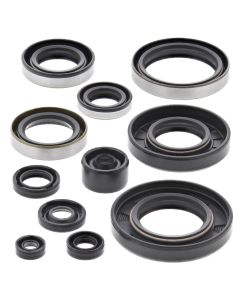 Vertex Oil Seal Kit 822288