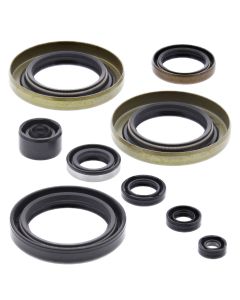 Vertex Oil Seal Kit 822104