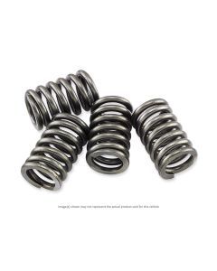 EBC CSK Series Heavy Duty Clutch Spring Kit for Kawasaki KZ 1000 1977-1983