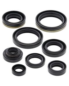 Vertex Oil Seal Kit 822125