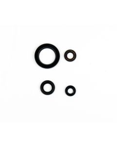 Athena Engine Oil Seal Kit P400485400054