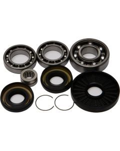 All Balls Front Differential Bearing And Seal Kit 25-2016