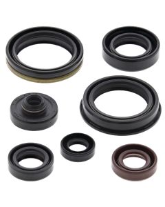 Vertex Oil Seal Kit 822329