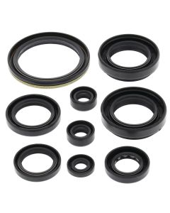 Vertex Oil Seal Kit 822259