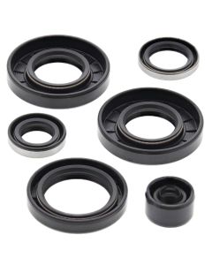 Vertex Oil Seal Kit 822290