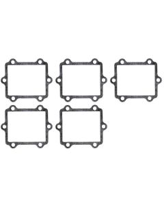 Set of 5 Polaris Gasket V-Force - 1 Cyl