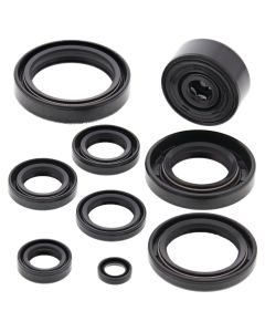 Vertex Oil Seal Kit 822116