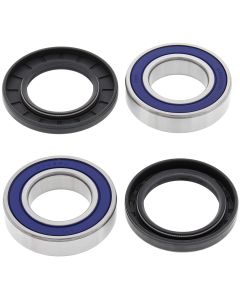 All Balls Racing Rear Wheel Bearing Kit 25-1109