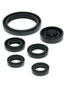 Vertex Oil Seal Kit 822238