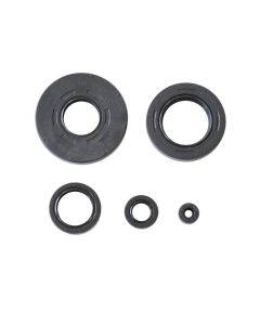 Athena Engine Oil Seal Kit P400210400172