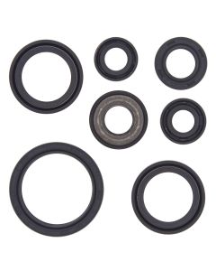 Vertex Oil Seal Kit 822232