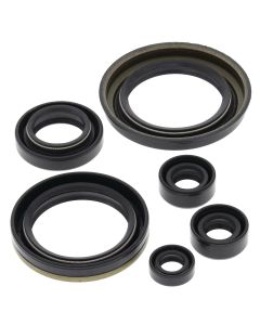 Vertex Oil Seal Kit 822280