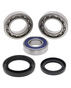 All Balls Racing Rear Wheel Bearing Kit 25-1018
