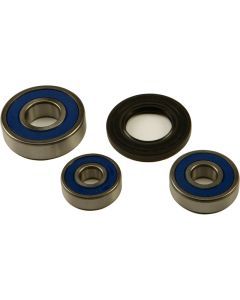 All Balls Rear Wheel Bearing Kit 25-1551