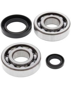 All Balls Racing Crank Shaft Bearing Kit 24-1004