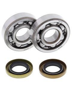 All Balls Racing Crank Shaft Bearing Kit 24-1102