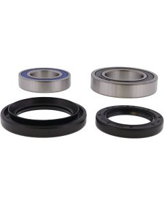 All Balls Racing Rear Wheel Bearing Kit 25-1012