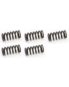 Set of 5 Psychic Exhaust Valve Spring