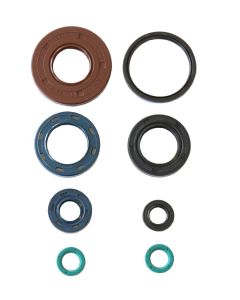 Athena Engine Oil Seal Kit P400210400217