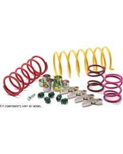 EPI Sport Clutch Kit 30-32" Tire Polaris 1000 RZR XP XP 4 2016 WE437403