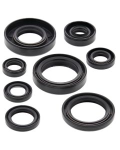 Vertex Oil Seal Kit 822173